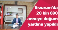 20 bin 890 anneye doğum yardımı yapıldı