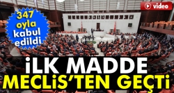 1. maddesi 347 oy ile kabul edildi