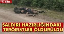 2 PKK'lı terörist öldürüldü