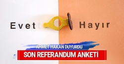 Konsensüs son referandum anket sonuçları!