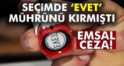 ‘Evet’ mührünü kıran vatandaşa emsal ceza