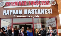 Erzurum'un Hayvan hastanesi var!