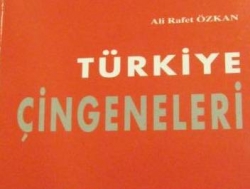 AİHM Çingene kitabını akladı