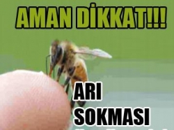 Arı küçük Semanur'u öldürdü!