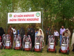 Köyde inek olmayınca!
