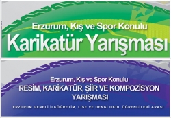 2011 karikatürlerle anlatılacak