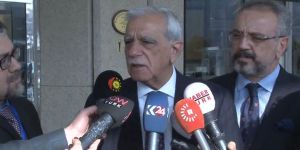 Ahmet Türk, Barzani ile görüştü