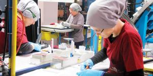 330 bin kişiye ‘cazibe’li iş