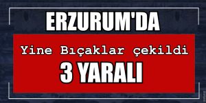 Erzurum’da bıçaklı kavga; 3 yaralı