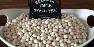 İspir fasulyesinin üretimi için makineli önlem