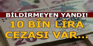Erzurum'da sayıları hızla artıyor!