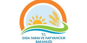FETÖ operasyonu! Gözaltılar var