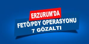 Erzurum'da FETÖ/PDY operasyonu: 7 gözaltı