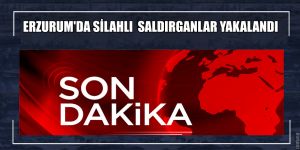 Silahlı saldırganlar yakalandı
