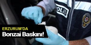 Erzurum’da bonzai operasyonu