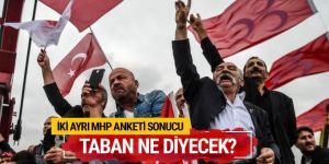 MHP referandum anket sonuçları taban ne diyor?