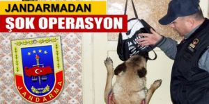Erzurum'da gençleri zehirliyeceklerdi