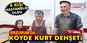 Erzurum’da kurt köylülere saldırdı
