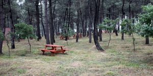 FETÖ’cüler piknikli toplantıda yakaland