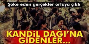 Raporda ortaya çıkan şok gerçek!