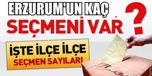 483 bin seçmen sandığa gidecek