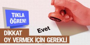 Nerede oy kullanacağım