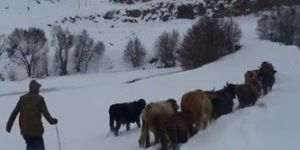 Erzurum’da Nisan ayında kış çilesi