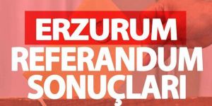 Karşılaştırmalı Analiz: Erzurum