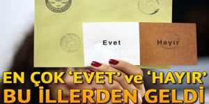 En çok 'evet' ve 'hayır'lar bu illerden çıktı