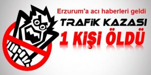 Otomobil Uçuruma Yuvarlandı: 1 Ölü, 3 Yaralı