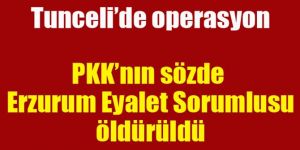 PKK'yü büyük darbe