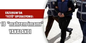 Erzurum'da 18 kişi gözaltına alındı