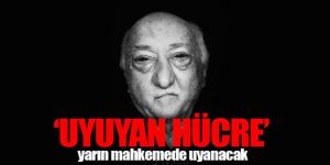 "Uyuyan hücresi", yarın hakim karşısına çıkacak