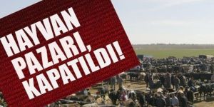 Erzurum’daki canlı hayvan pazarı kapatıldı