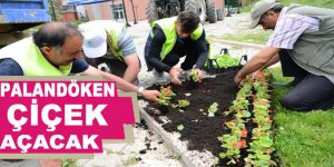 Palandöken çiçek açacak