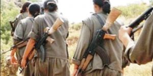 PKK'nın hain planı ortaya çıktı! Köstebek türü...