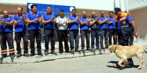 Afad'ın Arama Köpeği 'Herkül'ü Emekli Oldu