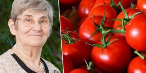 Canan Karatay'dan domates uyarısı