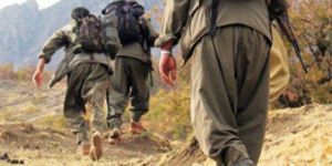 PKK'yı şoke eden olay! Teslim oldu