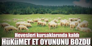 ESK 1 milyon canlı hayvan getirecek