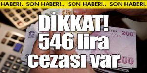 Kurbanlıklara kötü davranana 546 lira para cezası