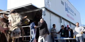 Erzurum'da Sahte kasaplara ceza kesilecek