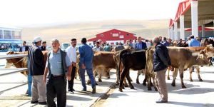 İşte Erzurum'da kesilen kurban sayısı