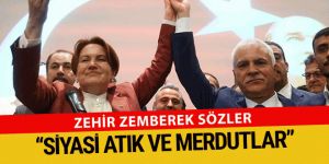 Zehir zemberek sözler