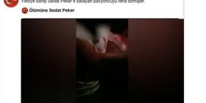 Sedat Peker paylaştı, sosyal medya karıştı! Kan donduran görüntüler