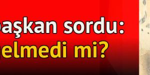 MHP'li başkan: Türkmen elindeyiz demenin vakti gelmedi mi?