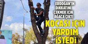 Cumhurbaşkanı Erdoğan'ın Dikkatini Çekmek İçin Ağaca Çıktı