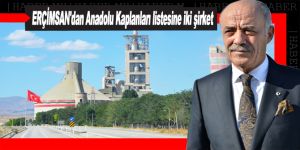 ERÇİMSAN'dan Anadolu Kaplanları listesine iki şirket