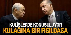 Devlet Bey Cumhurbaşkanının kulağına bir fısıldasa
