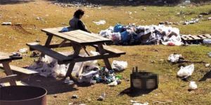 Çevre katliamına sosyal medyadan tepki yağdı